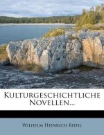 Kulturgeschichtliche Novellen...
