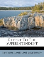Report to the Superintendent
