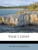 Vilse I Lifvet