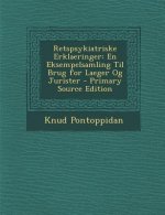 Retspsykiatriske Erklaeringer: En Eksempelsamling Til Brug for Laeger Og Jurister