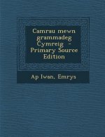 Camrau Mewn Grammadeg Cymreig