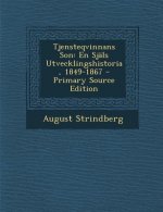Tjensteqvinnans Son: En Sjals Utvecklingshistoria, 1849-1867