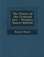 The Future of the Criminal Law
