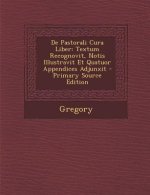 de Pastorali Cura Liber: Textum Recognovit, Notis Illustravit Et Quatuor Appendices Adjunxit