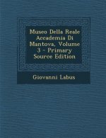 Museo Della Reale Accademia Di Mantova, Volume 3