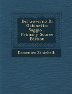 del Governo Di Gabinetto: Saggio - Primary Source Edition