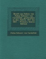 Briefe Aus Italien Von Julius Schnorr Von Carolsfeld, Geschrieben in Den Jahren 1817 Bis 1827.