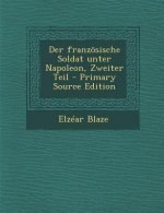 Der Franzosische Soldat Unter Napoleon, Zweiter Teil - Primary Source Edition