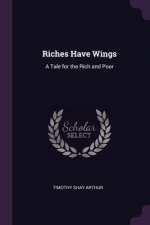 Riches Have Wings: A Tale for the Rich and Poor