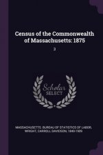 Census of the Commonwealth of Massachusetts: 1875: 3