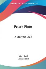 Peter's Pinto: A Story Of Utah