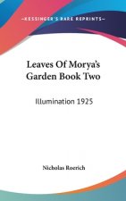 Leaves Of Morya's Garden Book Two: Illumination 1925