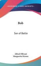 Bob: Son of Battle