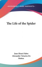 The Life of the Spider