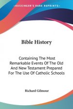 Bible History: Containing The Most Remarkable Events Of The Old And New Testament Prepared For The Use Of Catholic Schools