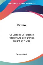 Bruno: Or Lessons Of Patience, Fidelity And Self-Denial, Taught By A Dog