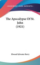 The Apocalypse Of St. John (1921)