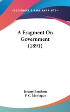 A Fragment On Government (1891)