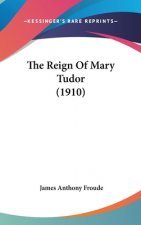 The Reign Of Mary Tudor (1910)