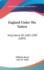 England Under The Tudors: King Henry VII, 1485-1509 (1895)