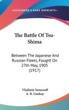 The Battle Of Tsu-Shima: Between The Japanese And Russian Fleets, Fought On 27th May, 1905 (1917)