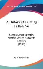 A History Of Painting In Italy V6: Sienese And Florentine Masters Of The Sixteenth Century (1914)