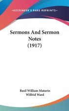 Sermons And Sermon Notes (1917)