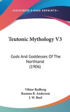Teutonic Mythology V3: Gods And Goddesses Of The Northland (1906)