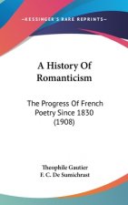 A History Of Romanticism: The Progress Of French Poetry Since 1830 (1908)