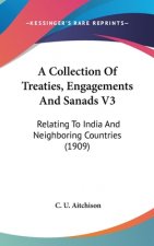 A Collection Of Treaties, Engagements And Sanads V3: Relating To India And Neighboring Countries (1909)