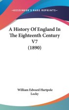 A History Of England In The Eighteenth Century V7 (1890)