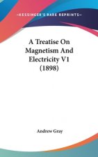 A Treatise On Magnetism And Electricity V1 (1898)