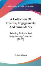 A Collection Of Treaties, Engagements And Sunnuds V5: Relating To India And Neighboring Countries (1876)