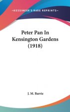 Peter Pan in Kensington Gardens (1918)