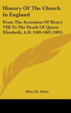 History Of The Church In England: From The Accession Of Henry VIII To The Death Of Queen Elizabeth, A.D. 1509-1603 (1895)