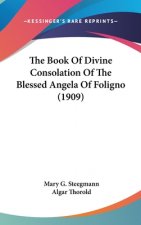 The Book Of Divine Consolation Of The Blessed Angela Of Foligno (1909)