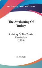 The Awakening Of Turkey: A History Of The Turkish Revolution (1909)