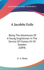 A Jacobite Exile: Being The Adventures Of A Young Englishman In The Service Of Charles XII Of Sweden (1894)