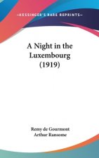 A Night in the Luxembourg (1919)