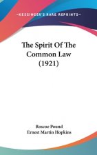 The Spirit Of The Common Law (1921)