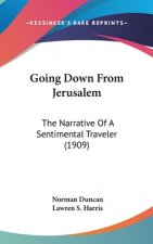 Going Down From Jerusalem: The Narrative Of A Sentimental Traveler (1909)