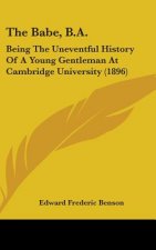 The Babe, B.A.: Being The Uneventful History Of A Young Gentleman At Cambridge University (1896)