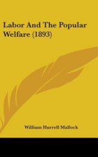 Labor And The Popular Welfare (1893)