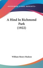 A Hind In Richmond Park (1922)