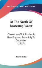 At The North Of Bearcamp Water: Chronicles Of A Stroller In New England From July To December (1917)
