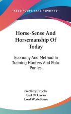 Horse-Sense and Horsemanship of Today: Economy and Method in Training Hunters and Polo Ponies