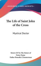 The Life of Saint John of the Cross: Mystical Doctor