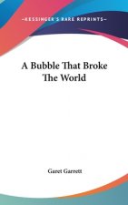 A Bubble That Broke the World