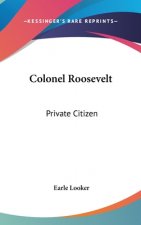 Colonel Roosevelt: Private Citizen