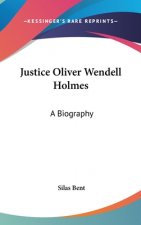 Justice Oliver Wendell Holmes: A Biography